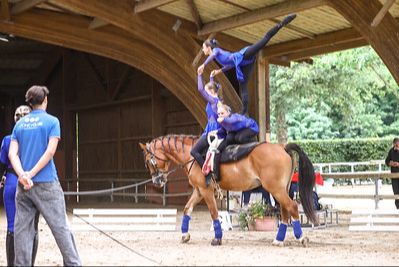 Intégrer la voltige dans son enseignement de l'équitation 81