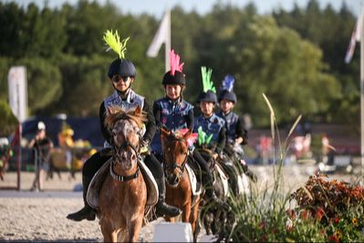 Intégrer les techniques spécifiques au spectacle équestre dans son enseignement 81
