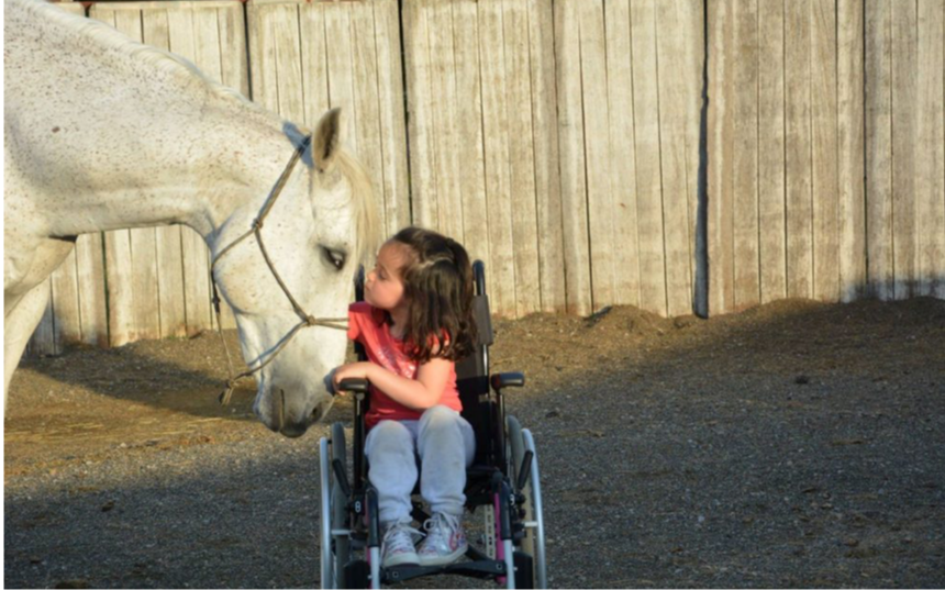 Brevet Fédéral d'Encadrement Equihandi