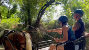 Découverte de l'attelage de loisir