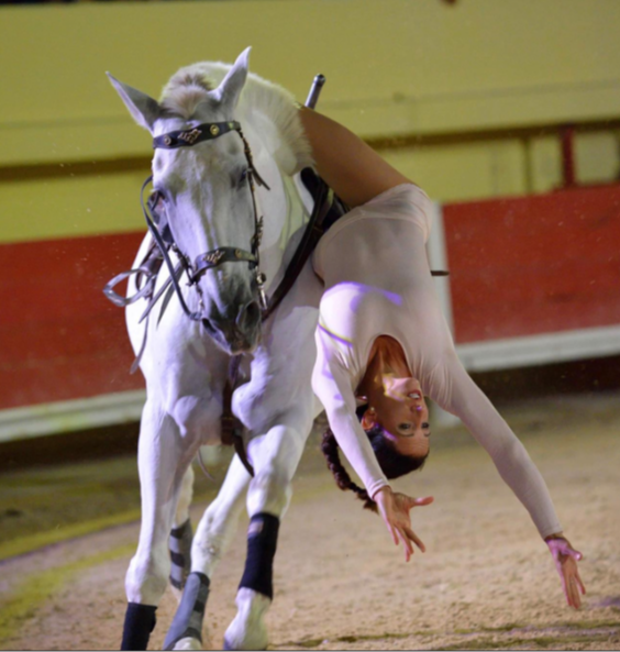 Voltige cosaque et renforcement musculaire du cavalier