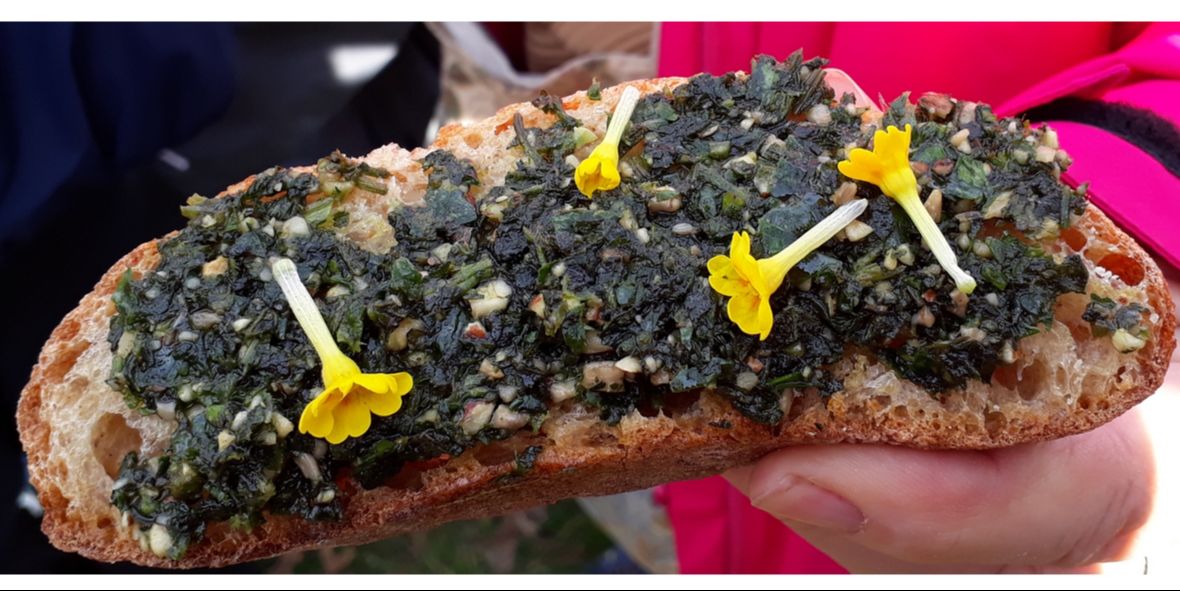 La balade gourmande des Gourmets Curieux 2026