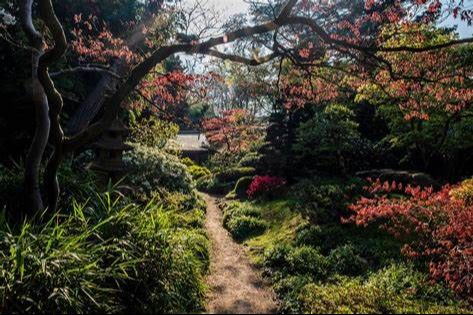 Visite Une Journée au Japon