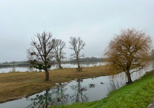 Audax entre Loire et Châteaux