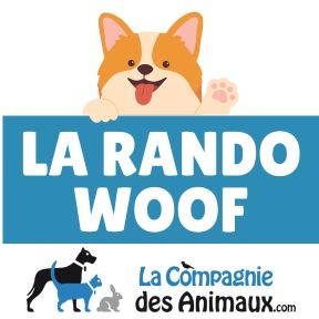 Logo ASSOCIATION RISSOISE DE PROTECTION DES ANIMAUX (A.R.P.A)