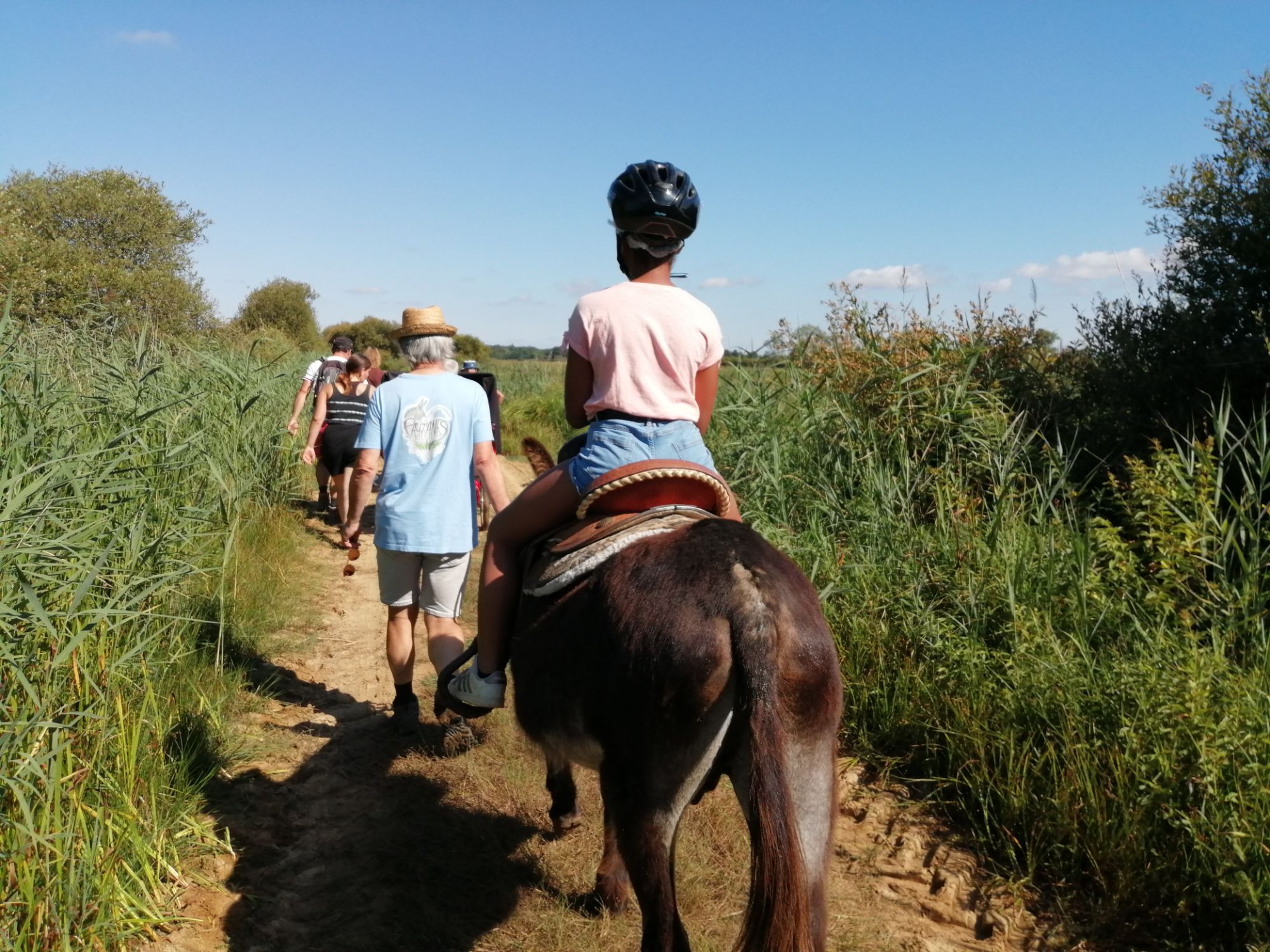 Traversée du marais de Grandlieu