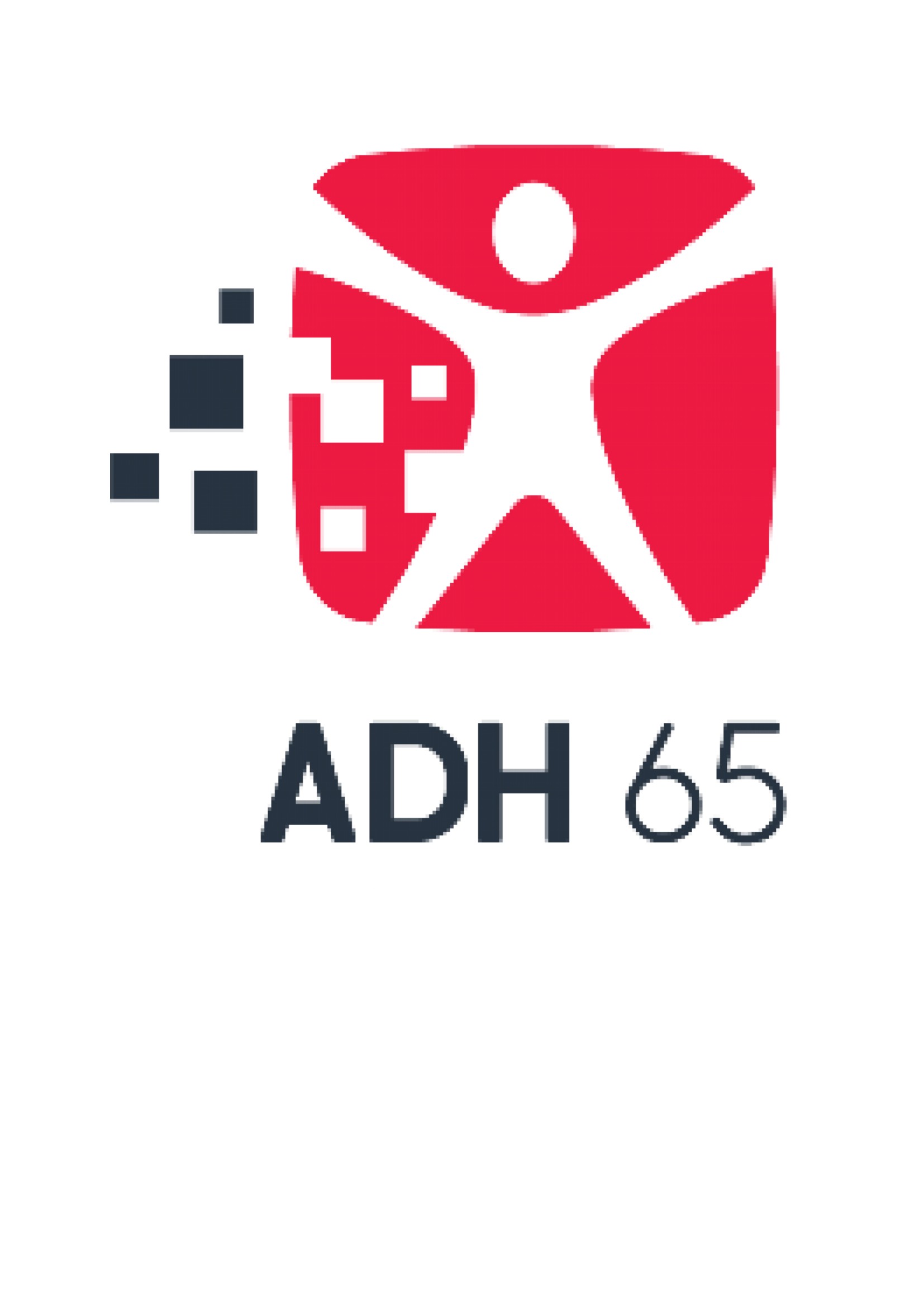 Logo Les Amis d'HAMAP Humanitaire du 65 (ADH65)