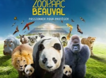 ZOO DE BEAUVAL 2027 - 2 jours 1 nuit - 05 et 06 juin 2027