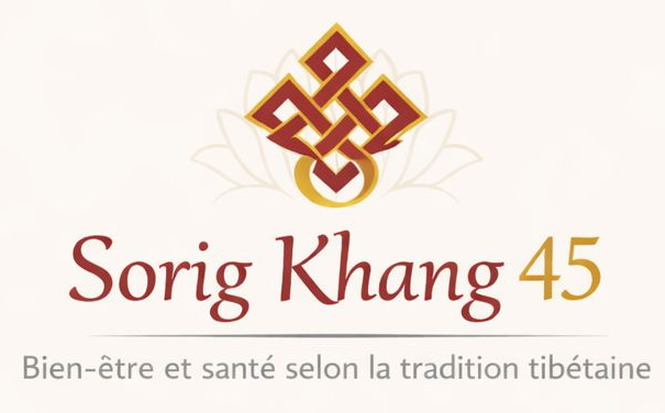 Logo Sorig Khang 45