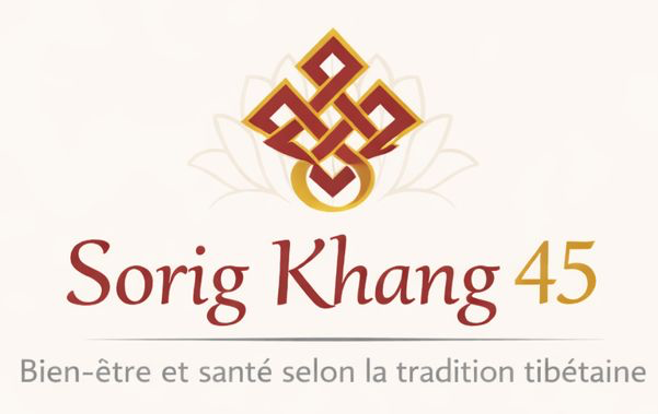 Logo Sorig Khang 45