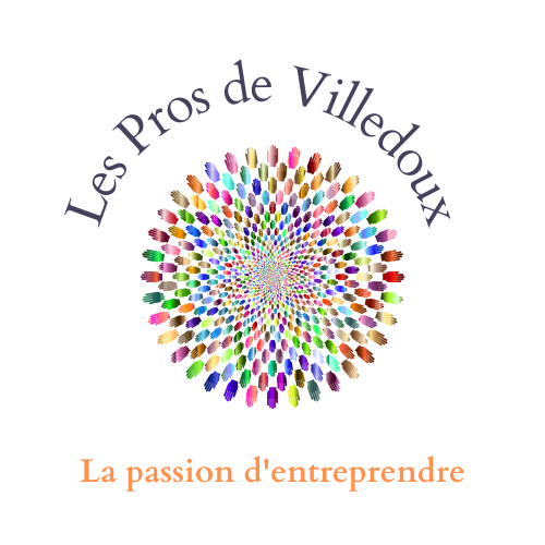 Logo Les Pros de Villedoux