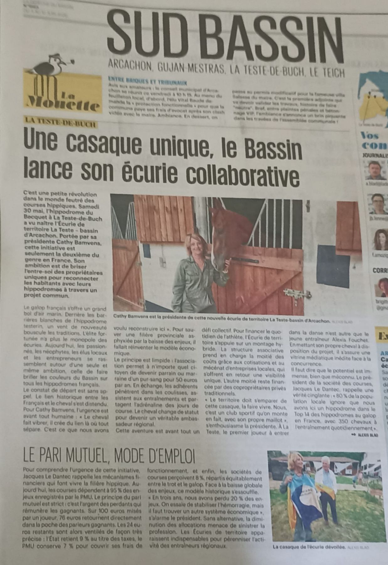 Articles - Vignette