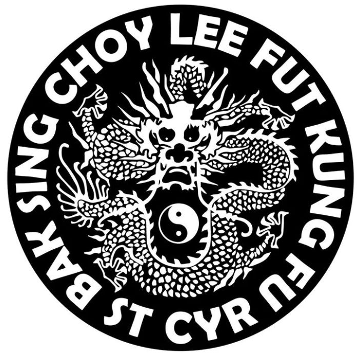 Logo Saint Cyr Kung-fu club