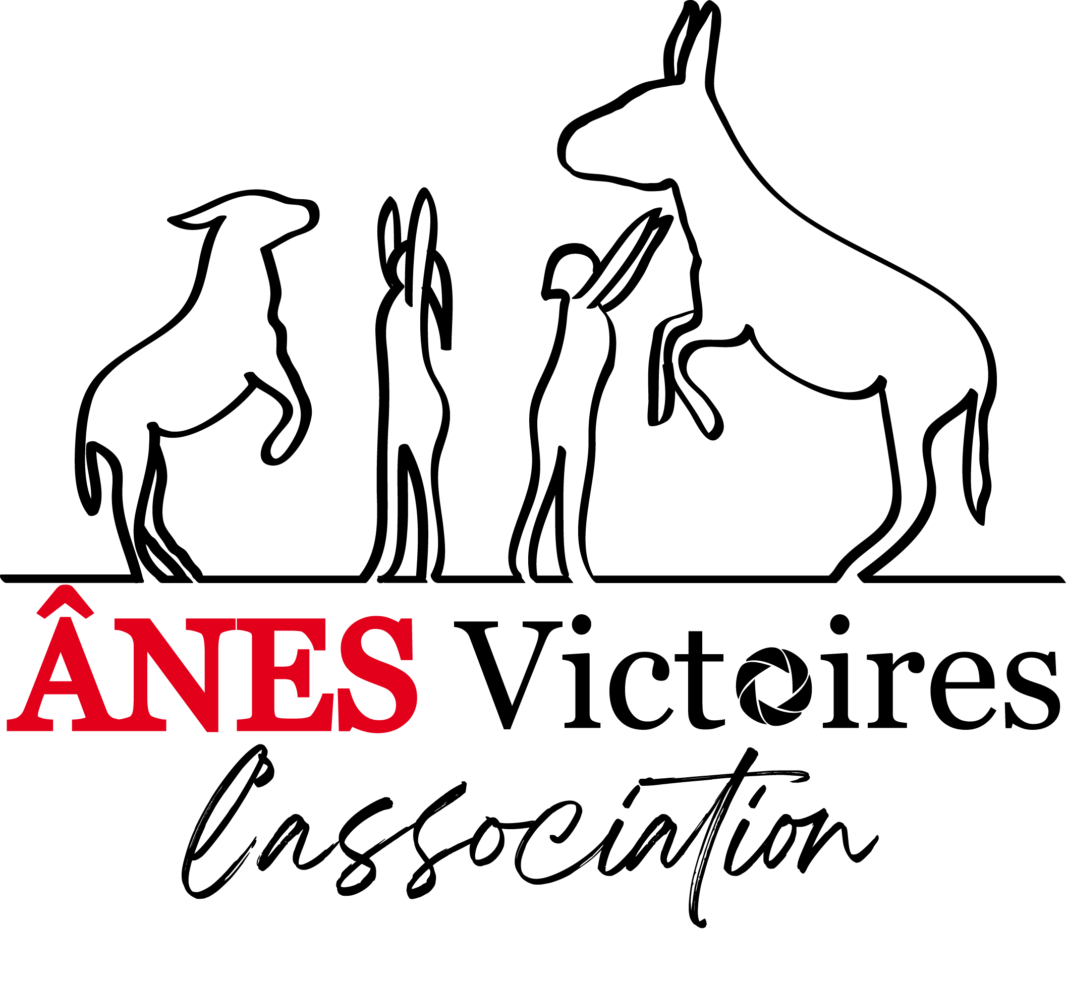 Logo Ânes Victoires