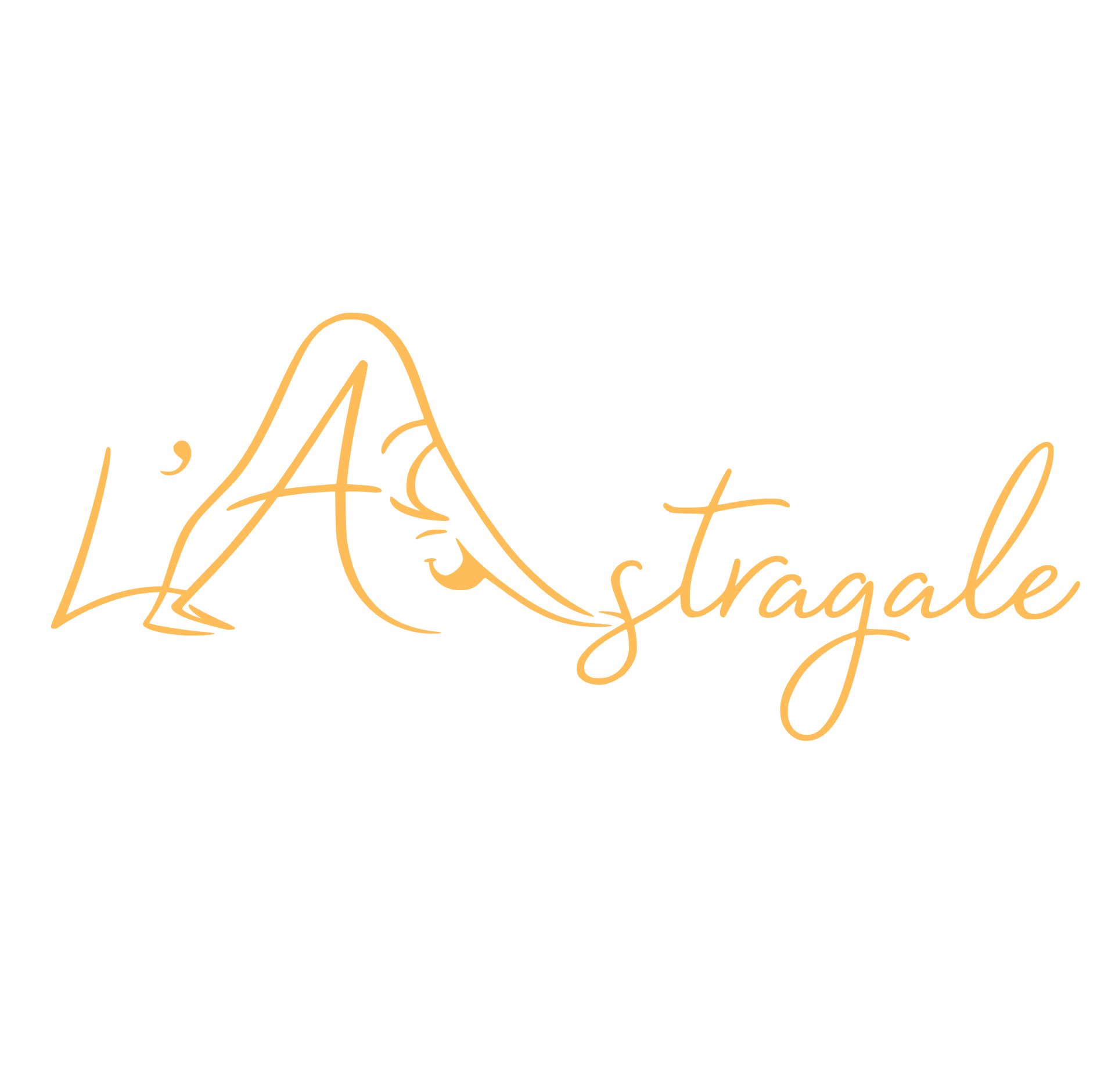 Logo Association Astragale 63