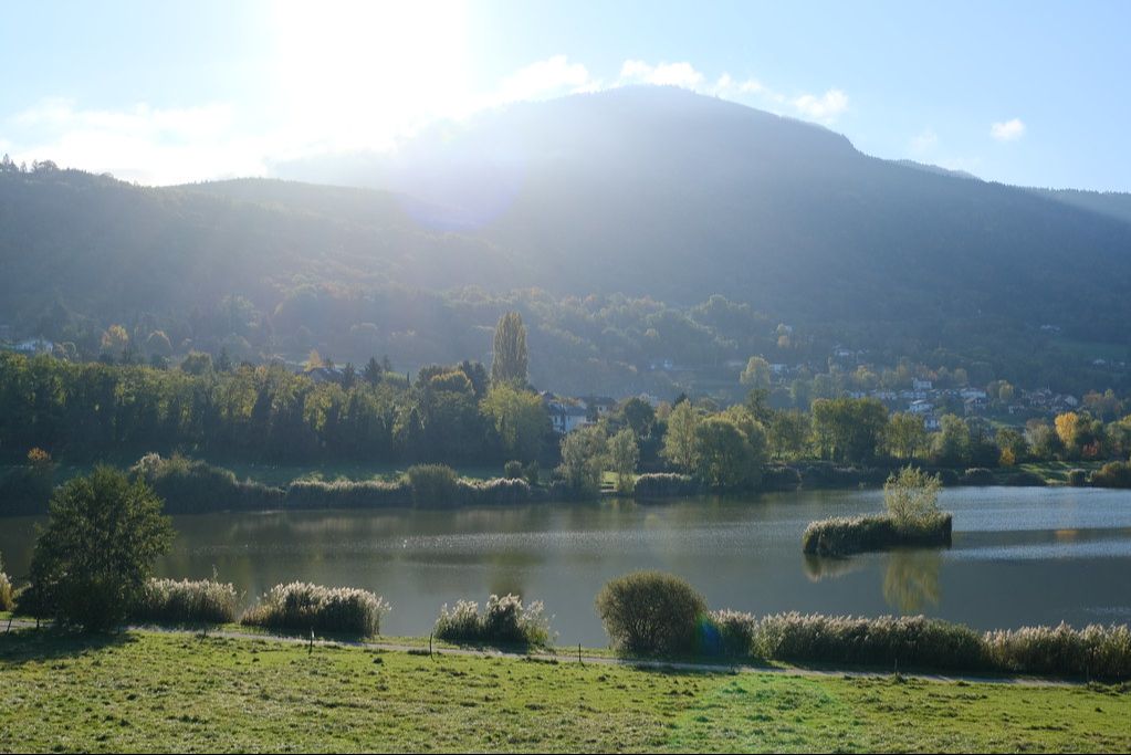 Sortie nature en famille