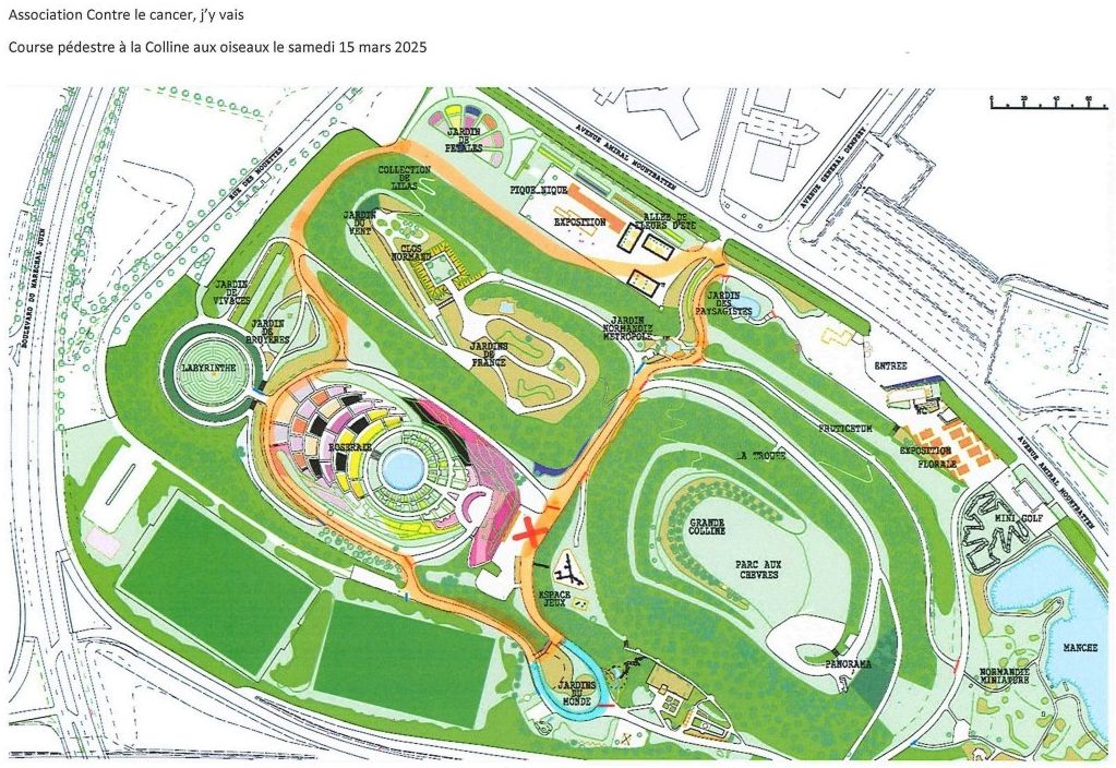 IAE - Contre le Cancer J'Y Vais