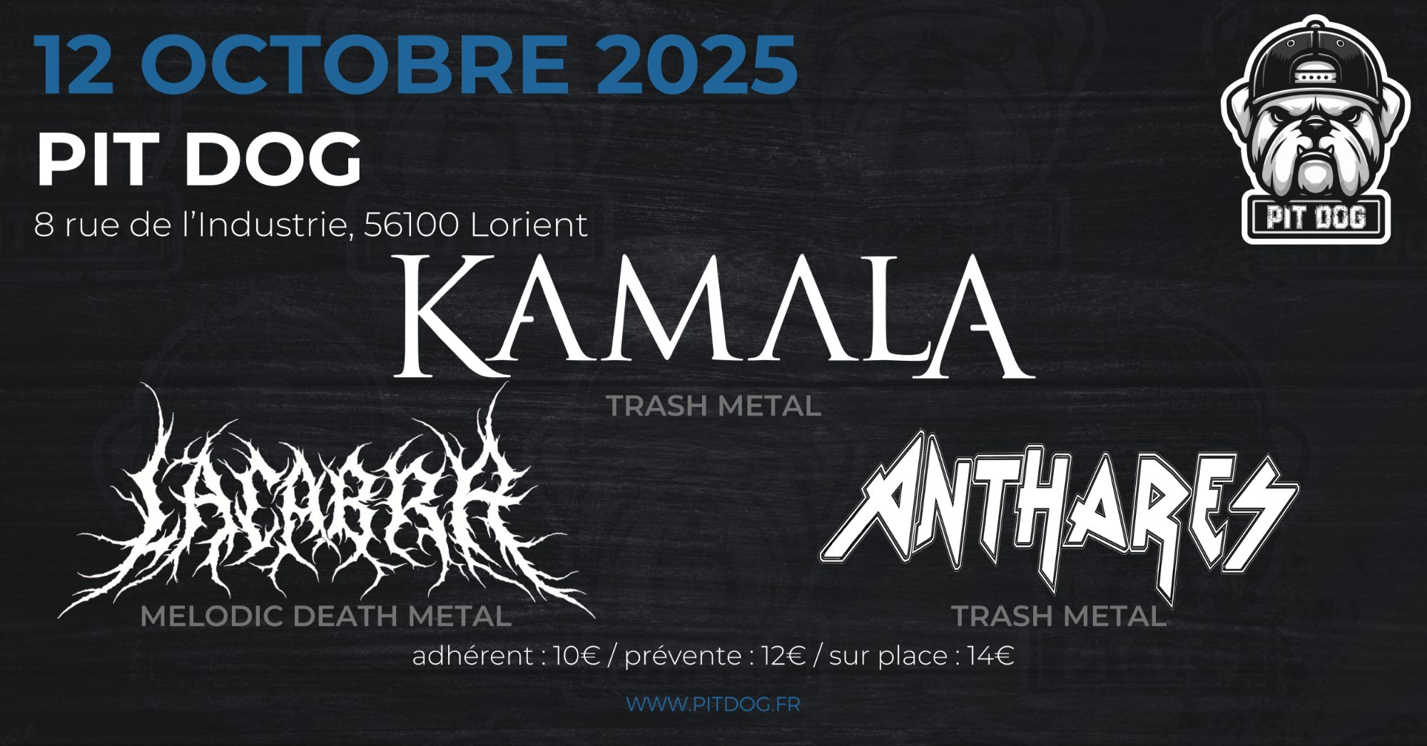 KAMALA | LACABRA | ANTHARES - PIT DOG, Lorient (56)