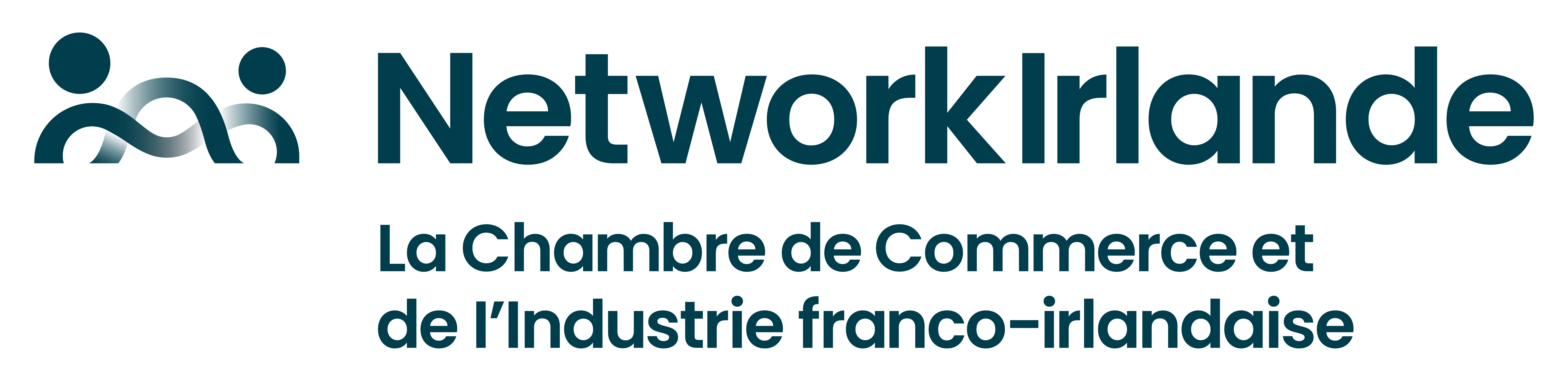 Logo NETWORKIRLANDE