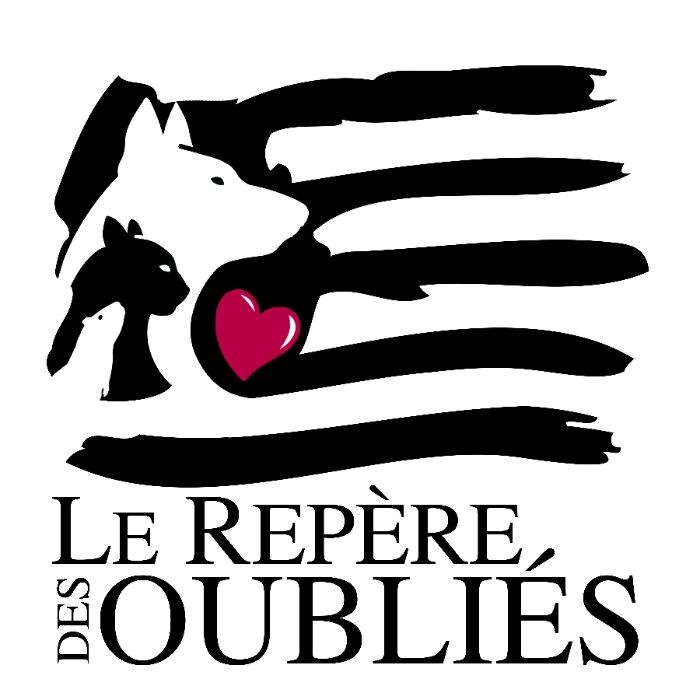 Logo Association LE REPERE DES OUBLIES