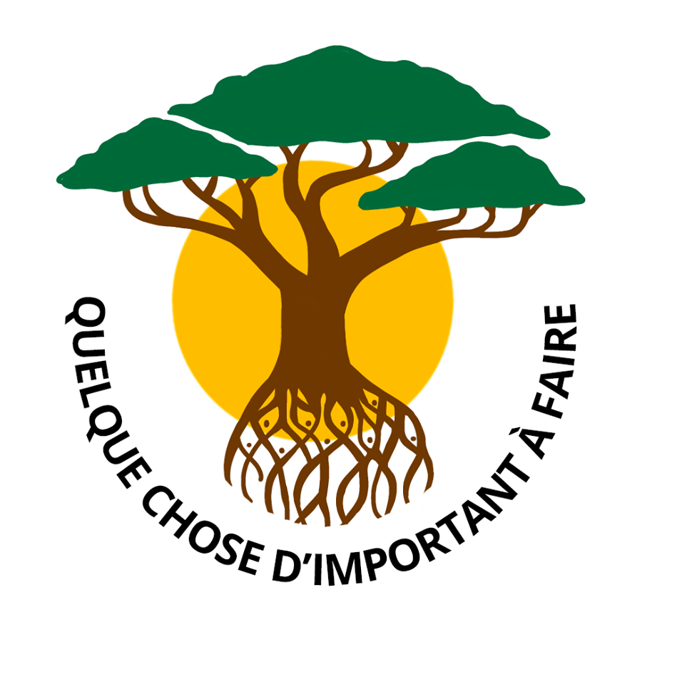 Logo Quelque Chose d'Important A Faire
