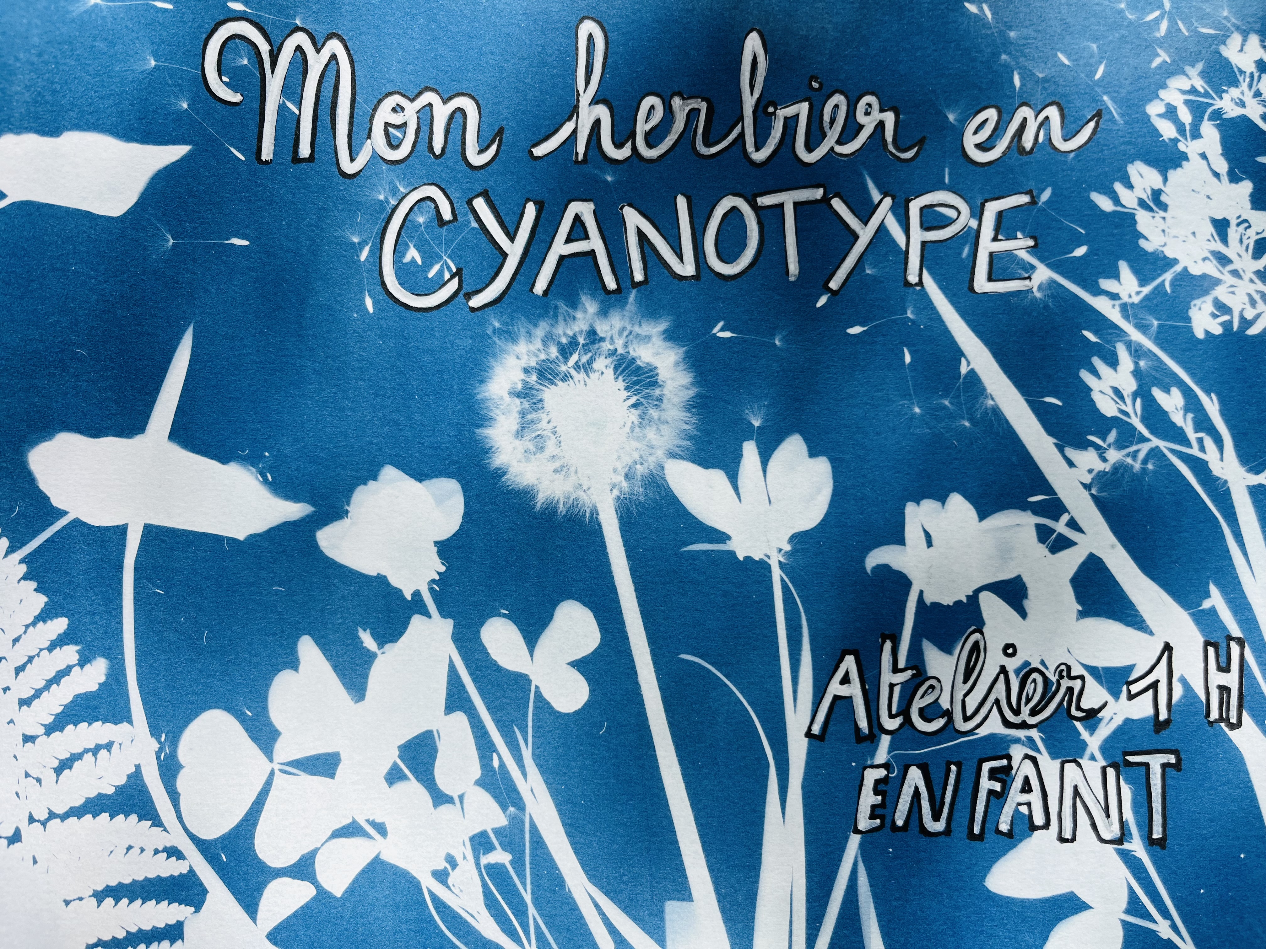 Atelier Cyanotype