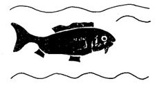 Randonnée pédestre Sentier des Poissons