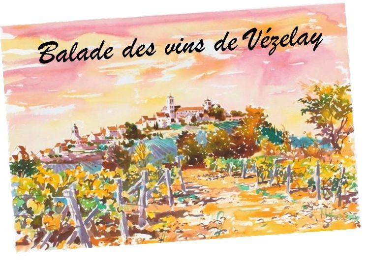 Balade des Vins de Vézelay 2025