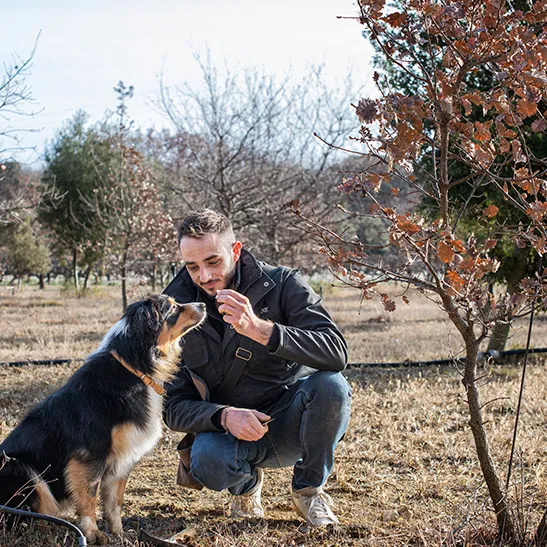 cavage avec un trufficulteur et son chien