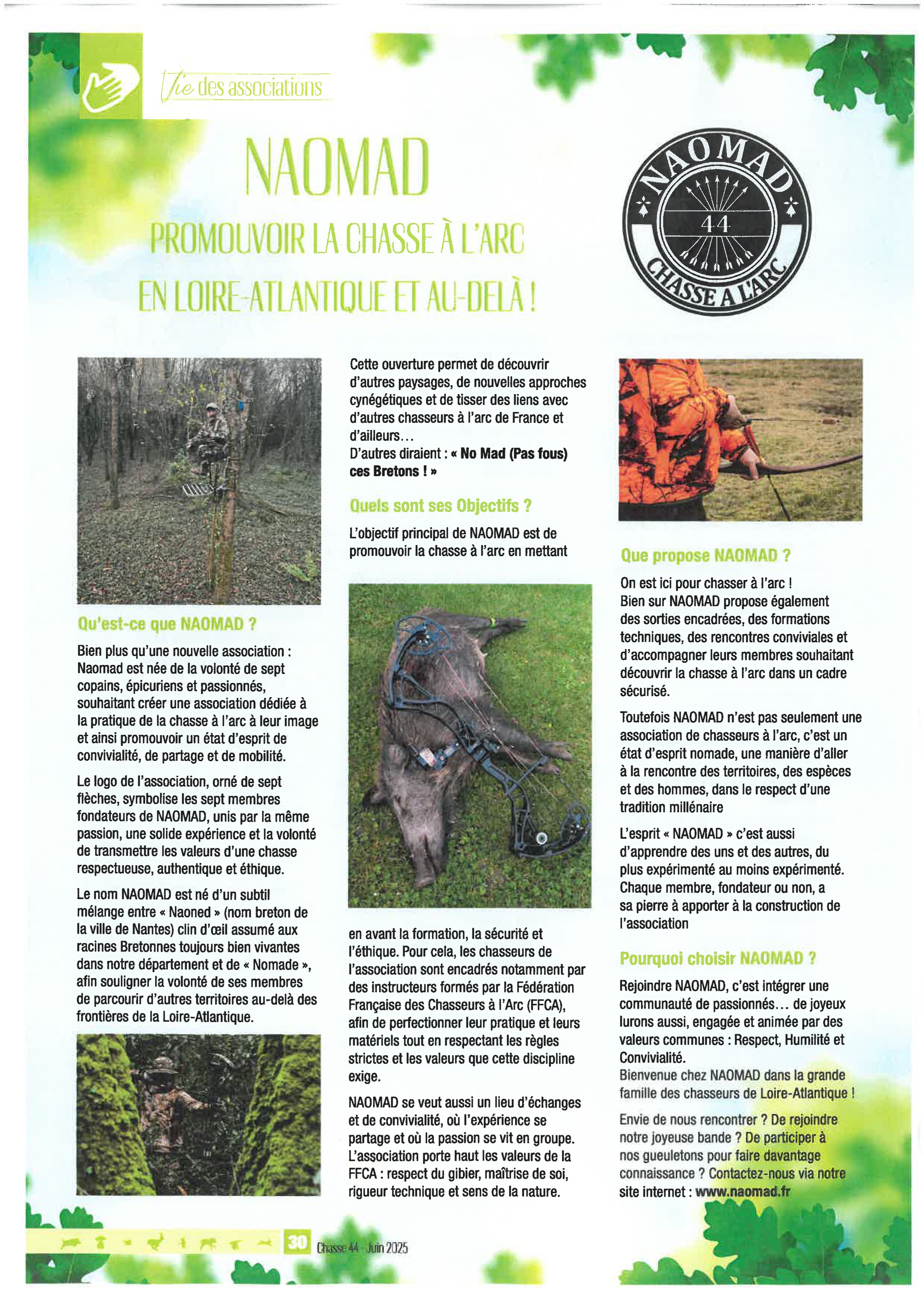 Articles - Vignette