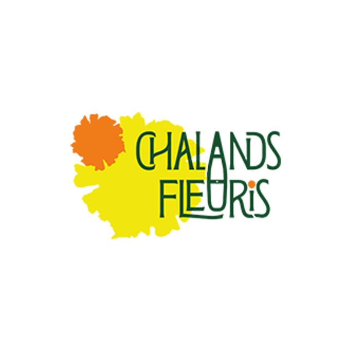 Logo ASSOCIATION BRIERONNE DE ST ANDRE DES EAUX