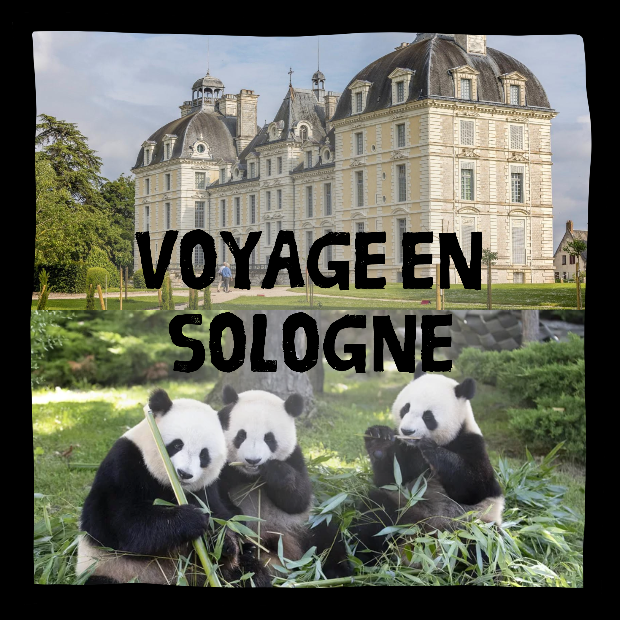 VOYAGE EN SOLOGNE
