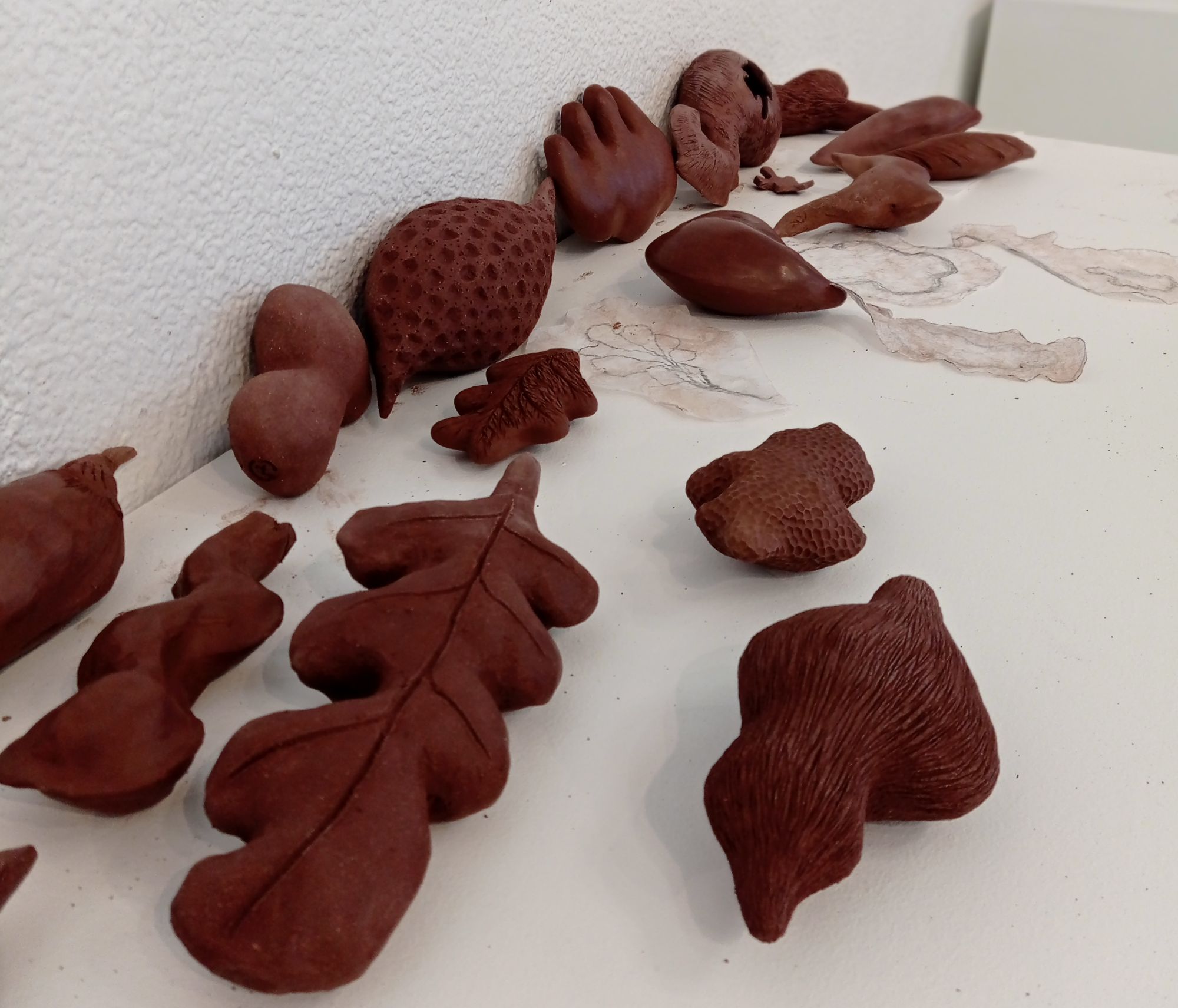 ATELIER DECOUVERTE 