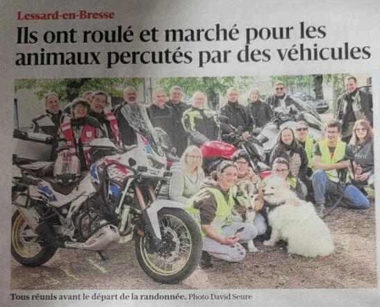 Opération TAMAÏ