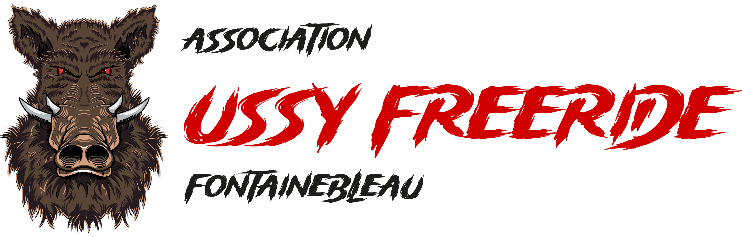 Logo USSY FREERIDE