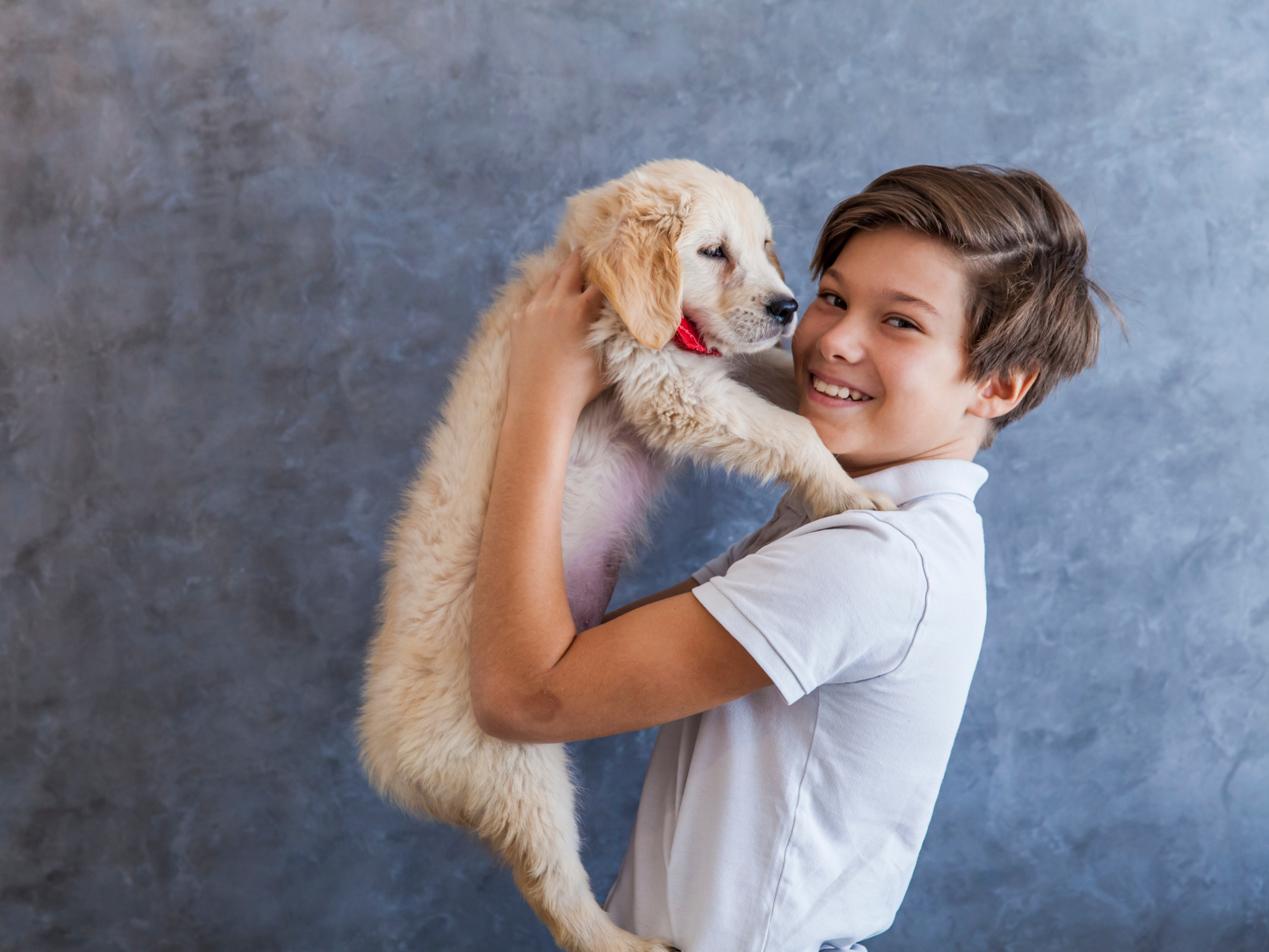 Un temps de pause avec les animaux : cultiver sa confiance (12 - 15 ans)