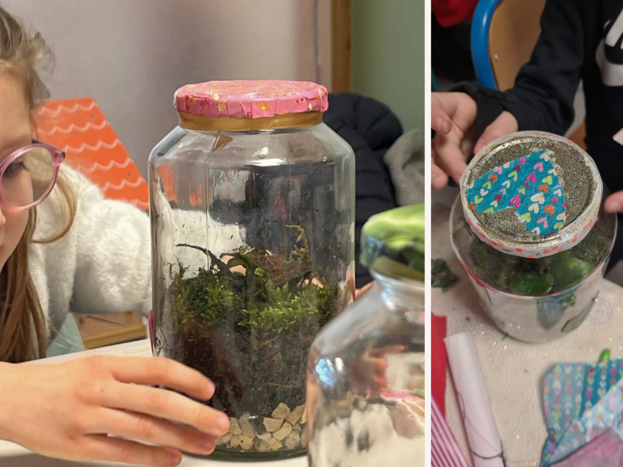 Je crée mon terrarium (6-10 ans)