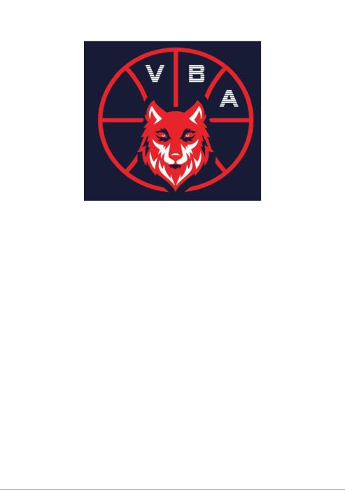 Logo Valenton Basket Academy
