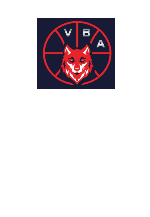 Logo Valenton Basket Academy
