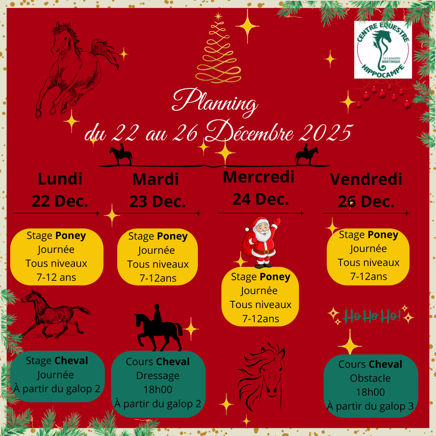 STAGES DE NOËL /TARIF UNIQUE⭐️