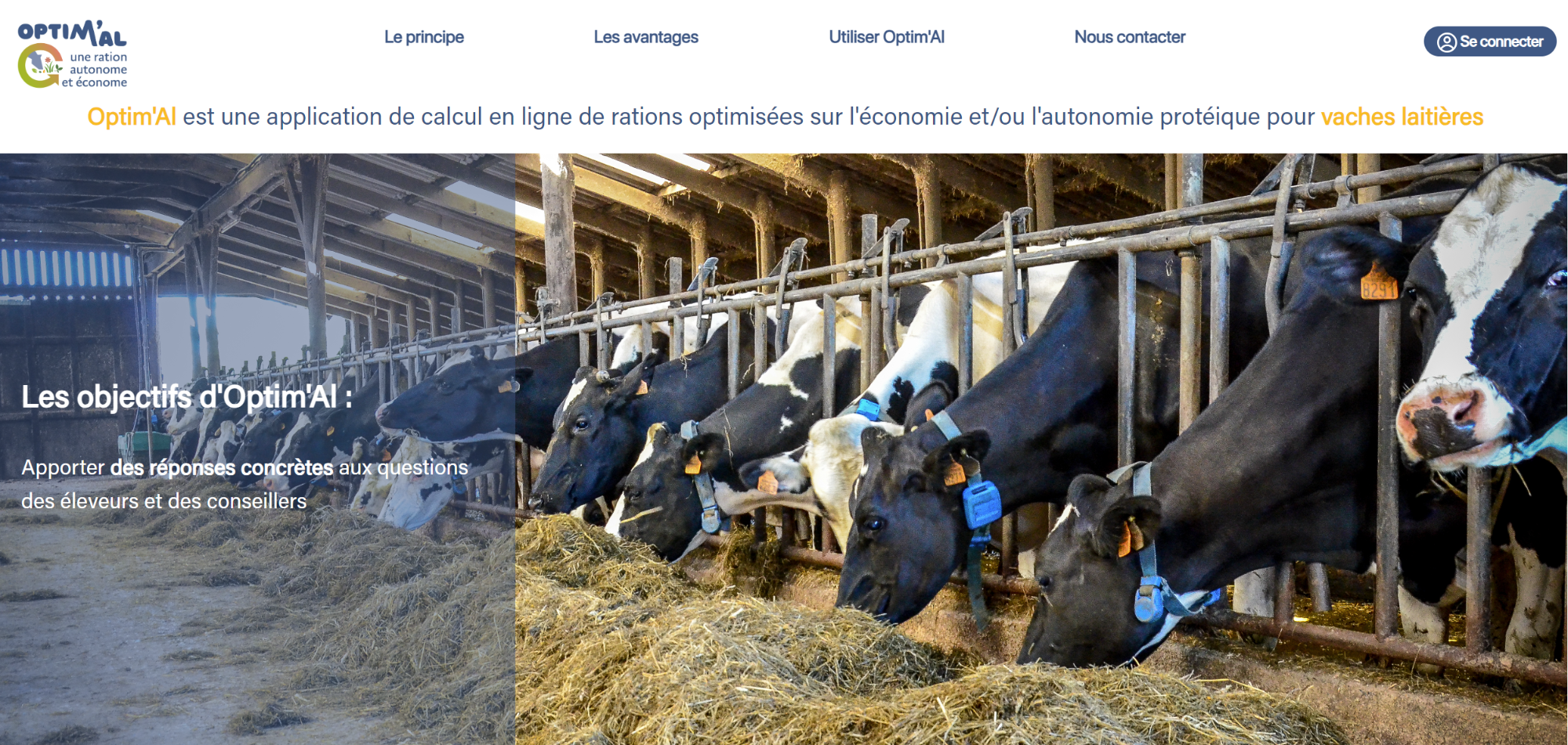 Optim'Al: un outil pour des rations vaches laitières optimisées plus durables