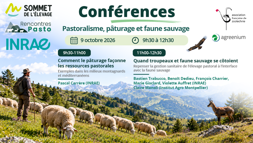 Conférences : pastoralisme, pâturage et faune sauvage