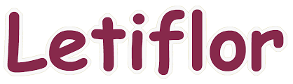 Logo Letiflor