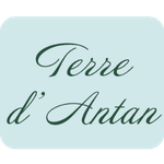 TERRE D'ANTAN  - CLER VERTS