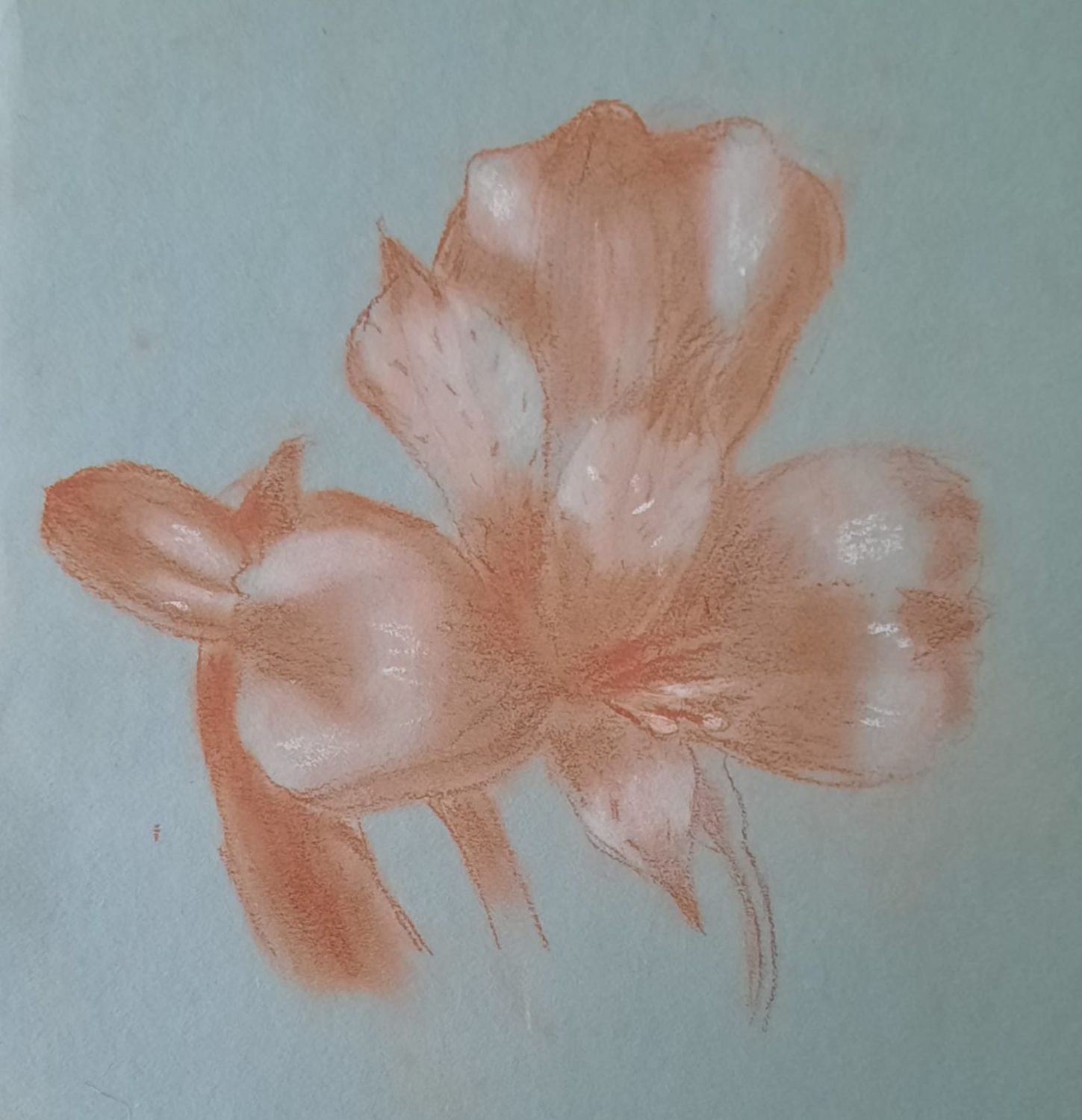 Arts plastiques CM1-CM2