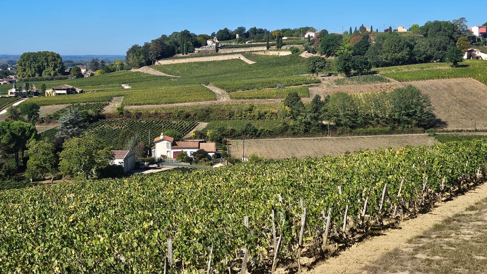 Marche autour de St EMILION