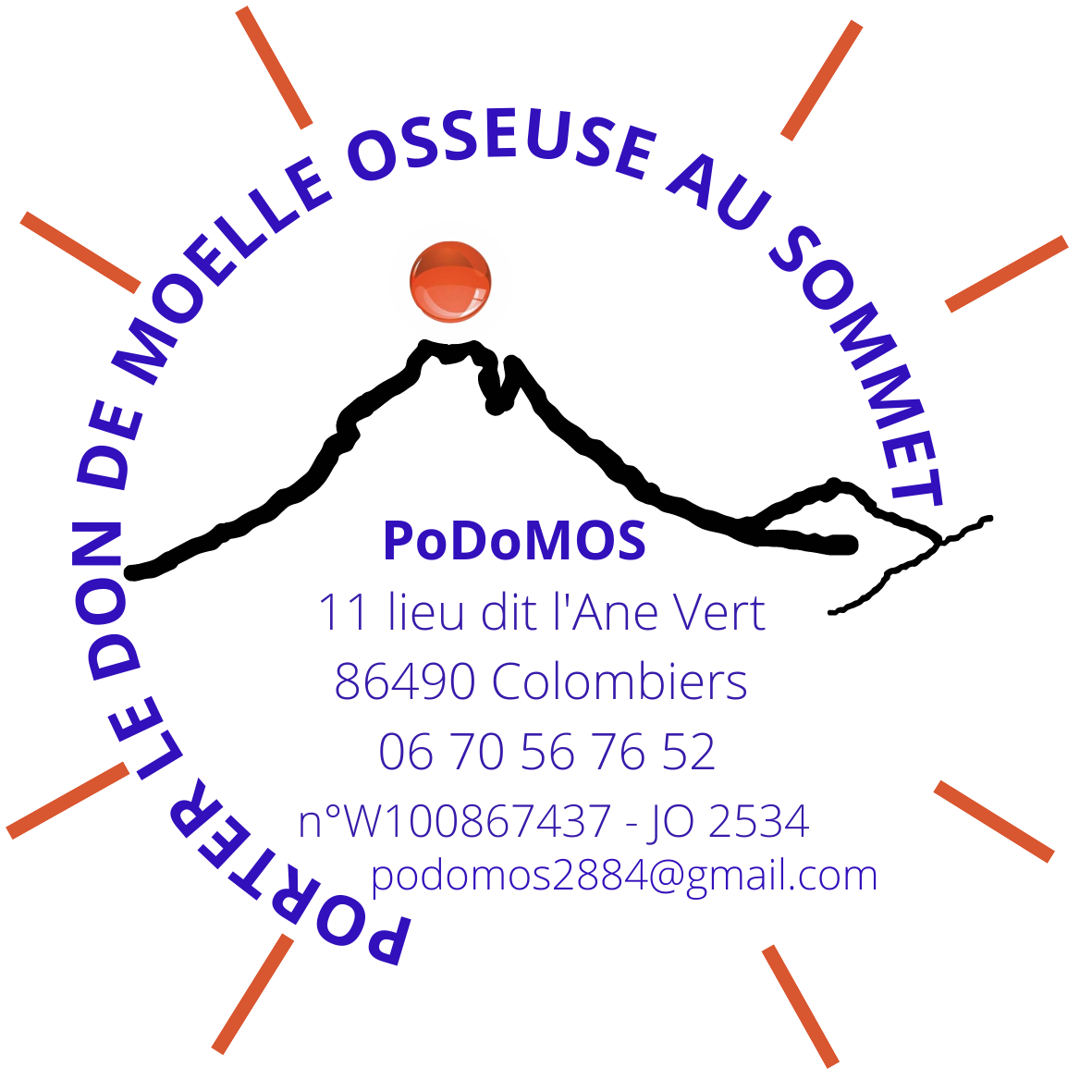 Porter le Don de Moelle Osseuse au Sommet logo