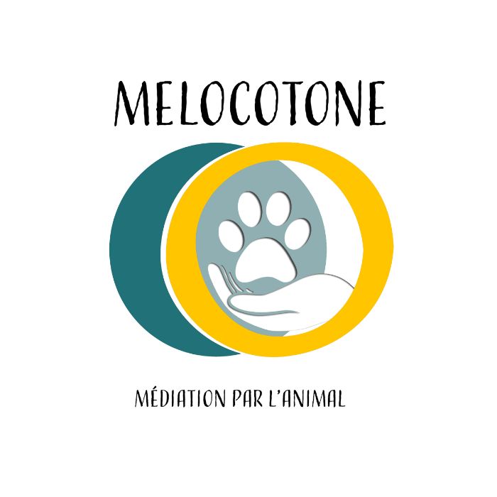 Logo MELOCOTONE