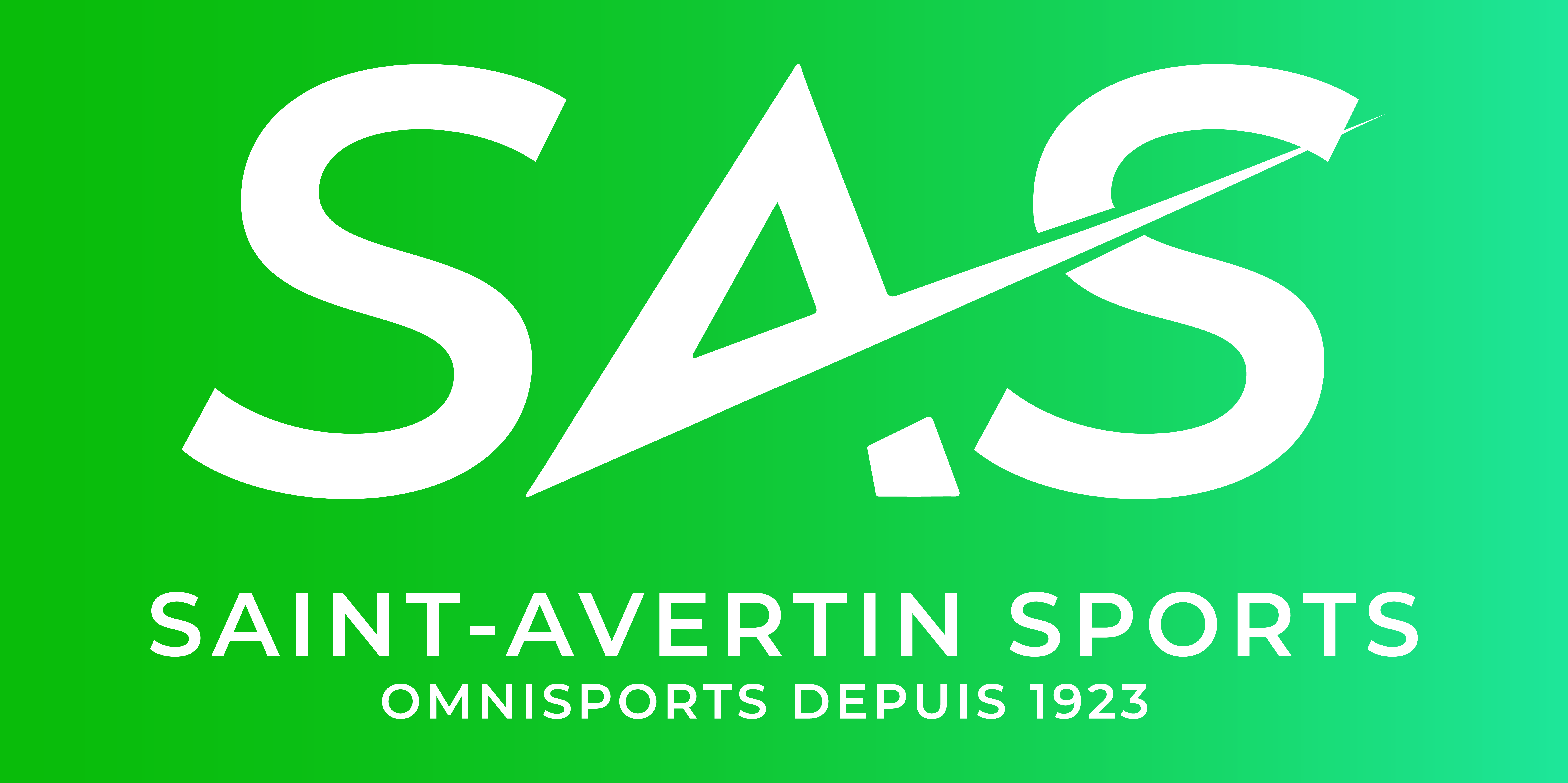 Logo Saint Avertin Sports