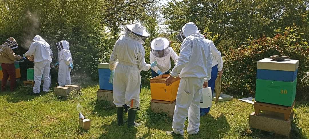 Initiation à l'apiculture